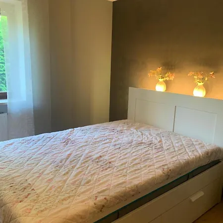 Wunderschoene, Grosse Gartenwohnung Mit 3 Schlafzimmern Naehe Kaufbeuren Appartement *