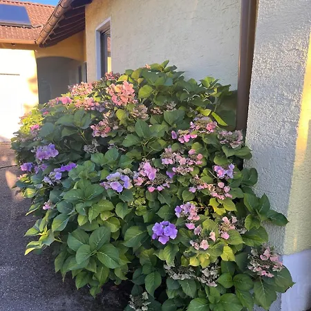 Wunderschöne, Große Gartenwohnung Mit 3 Schlafzimmern Nähe Kaufbeuren Apartment *
