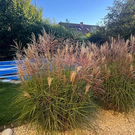 Wunderschöne, Große Gartenwohnung Mit 3 Schlafzimmern Nähe Kaufbeuren Apartment *
